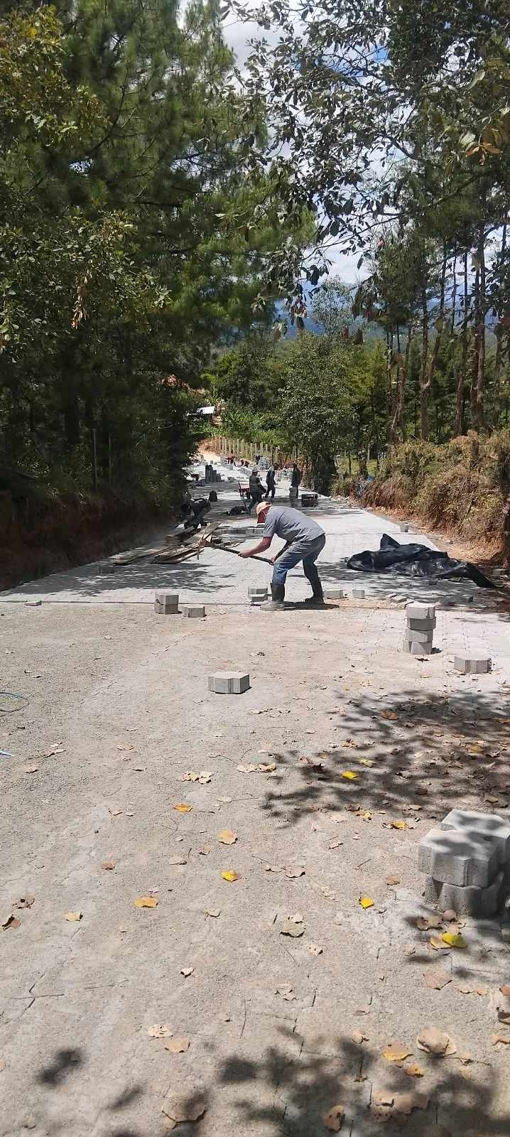 Avance de obra del 14/09/2026